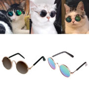 CAT GLASSES 1