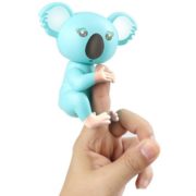 BLUE KOALA