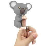GREY KOALA
