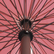 PINK PARASOL 3