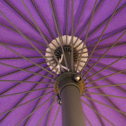 PURPLE PARASOL 2