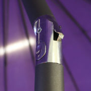 PURPLE PARASOL 3