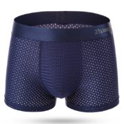 BLUE MESH
