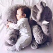 ELEPHANT 1