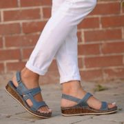 blue-wedge (1)