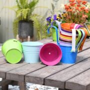 Flower Pot 1