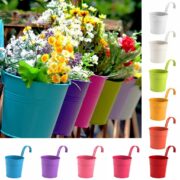 Flower Pot 5