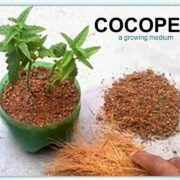 coco3