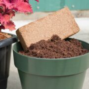 cocopeat2
