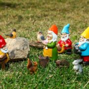 family dwarf 2