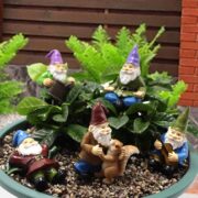 g gnomes 3