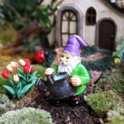 g gnomes 5