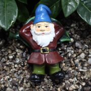 g gnomes 6
