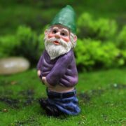 gnome 1