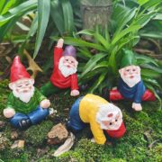 4Pcs yoga gnomes