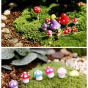 mushroom 2