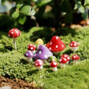 mushroom 3jpg